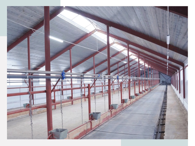 Строительство коровников в Муре от 613 руб.