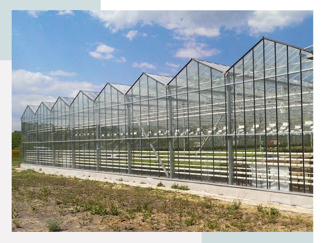 Строительство теплиц в Муром от 613 руб. за м²