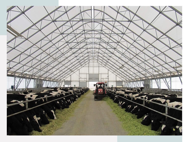 Тентовые коровники в Муре от 613 руб. - Надежно и доступно